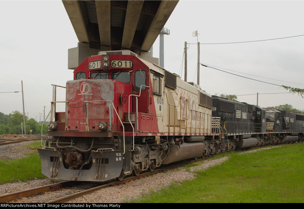 CEFX 6011